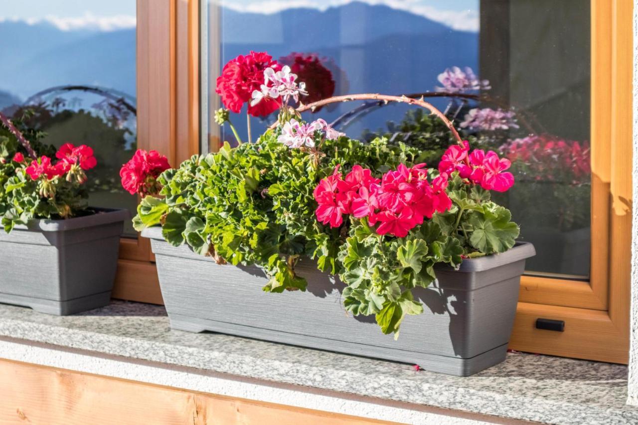 Tonigbauernhof Blumenwiese Schenna Ngoại thất bức ảnh